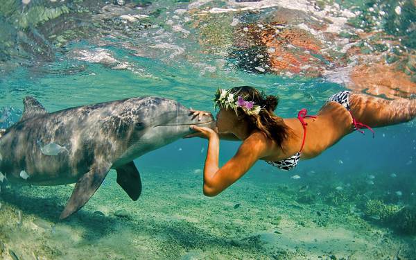девушка целует дельфина под водой обои для рабочего стола