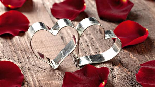 два металлических сердца возле лепестков розы обои для рабочего стола