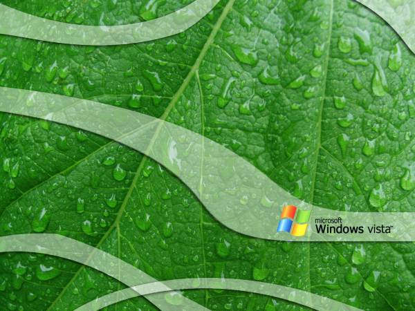 Windows Vista - зеленый листик с каплями обои для рабочего стола