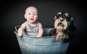Обои прикольное фото - ребенок с собакой в тазике на рабочий стол
