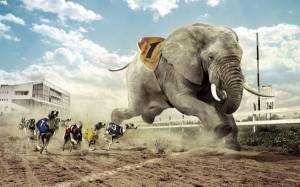 Обои слон бежит на собачьих бегах на рабочий стол