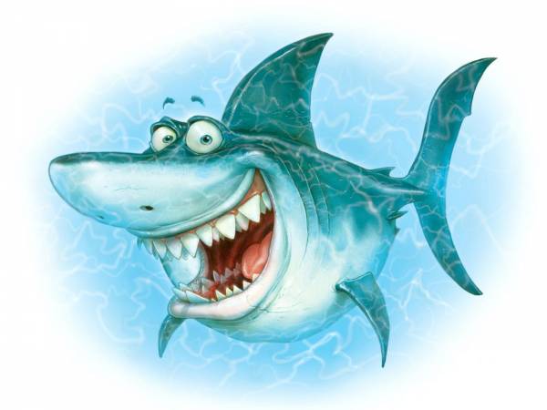 акула улыбака, смешная акула, прикол обои для рабочего стола