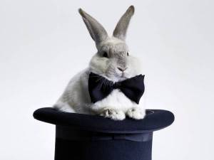 Обои кролик с черной бабочкой сидит в шляпе на рабочий стол