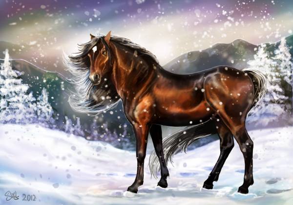 лошадь, метель, вьюга, зима, снег обои для рабочего стола