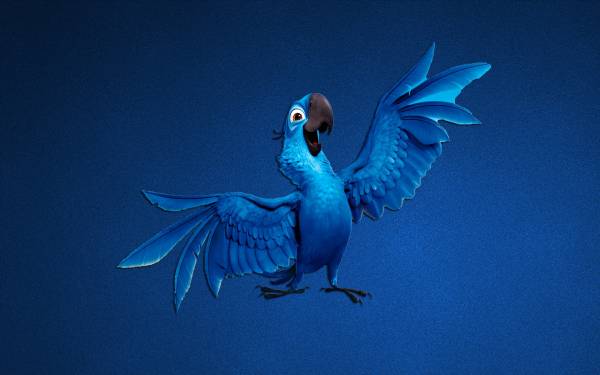 попугай из мультика Рио обои для рабочего стола