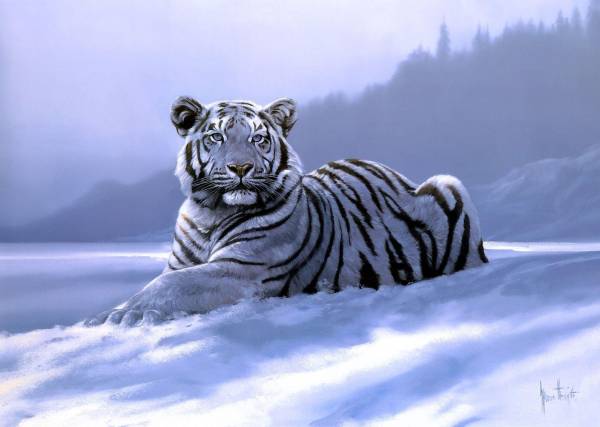 белый тигр лежит на снегу возле леса обои для рабочего стола