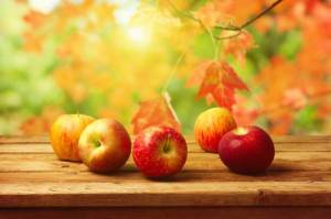 Обои яблоки на скамейке, природа, листья, фрукты на рабочий стол