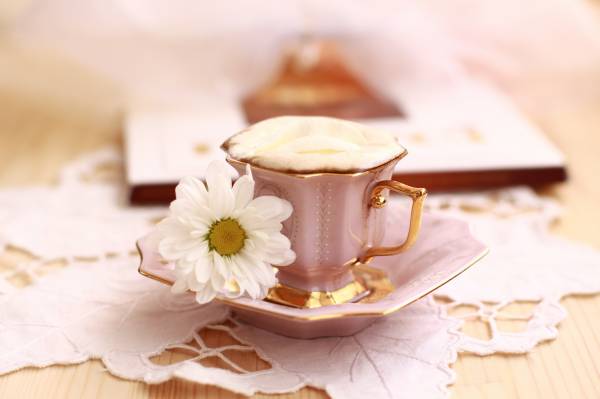 чашка кофе блюдце цветок ромашка обои для рабочего стола