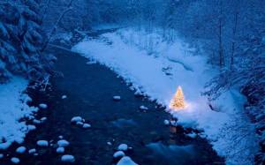 Обои светящаяся елка возле реки в снежном лесу на рабочий стол