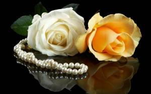 Обои цветы розы ожерелье отражение на рабочий стол