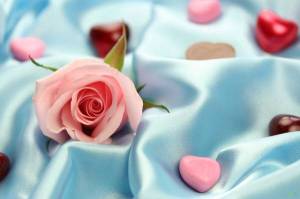 Обои розовая роза между сердечками на голубой скатерти на рабочий стол