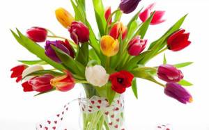 Обои разнообразие тюльпанов в вазе на белом фоне на рабочий стол