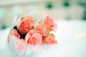 Обои цветы алые розы букет на рабочий стол