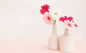 Обои нежные цветы, Герберы, вазы, цветы в вазе на рабочий стол