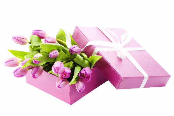 подарочная коробка с тюльпанами к празднику обои для рабочего стола
