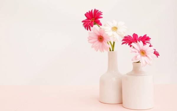 нежные цветы, Герберы, вазы, цветы в вазе обои для рабочего стола