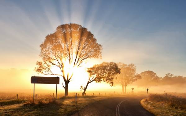 закат яркие лучи солнца дорога деревья обои для рабочего стола
