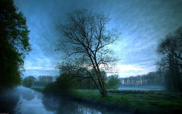 природа туман трава деревья река небо утро обои для рабочего стола