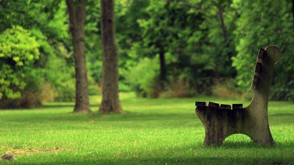 лавочка в зеленом парке обои для рабочего стола