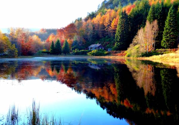 осень, пейзаж, лес, отражение в озере, дом, природ обои для рабочего стола