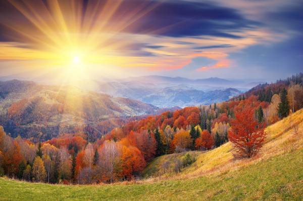 яркое солнце, осень, лес, деревья, холмы, природа обои для рабочего стола