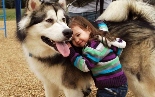 девочка в обнимку с собакой Лайка обои для рабочего стола
