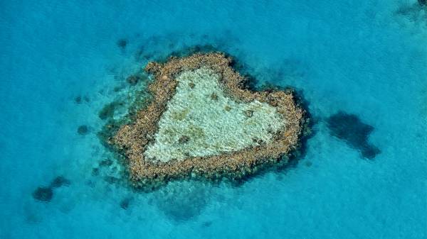 коралловый риф в форме сердца с высоты обои для рабочего стола
